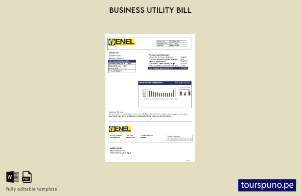 listo para imprimir Nicaragua Empresa Nicaragüense de Electricidad ENEL modelo d